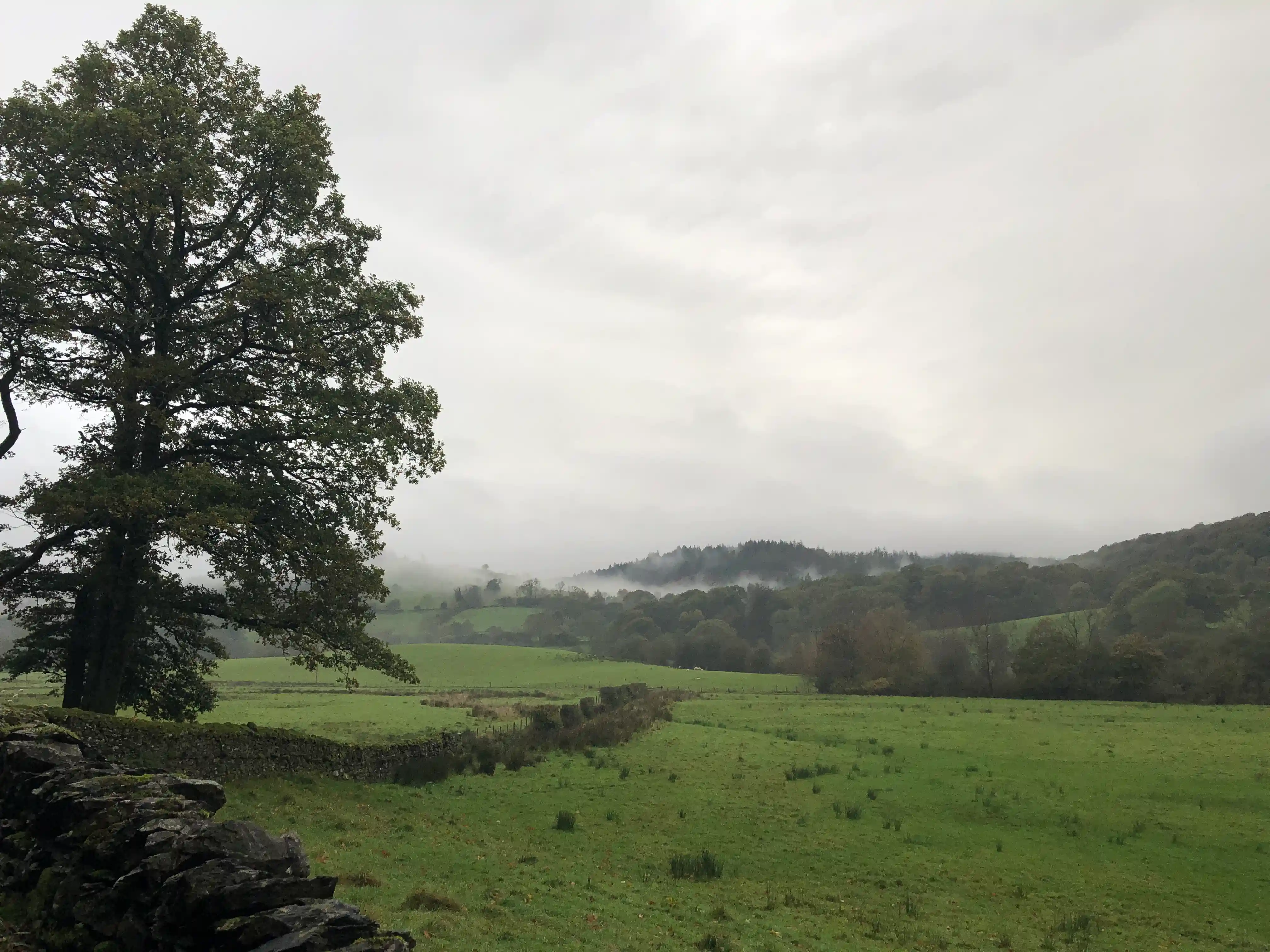 Looking out across the misty fields on that border the outskirts of Satterthwaite village