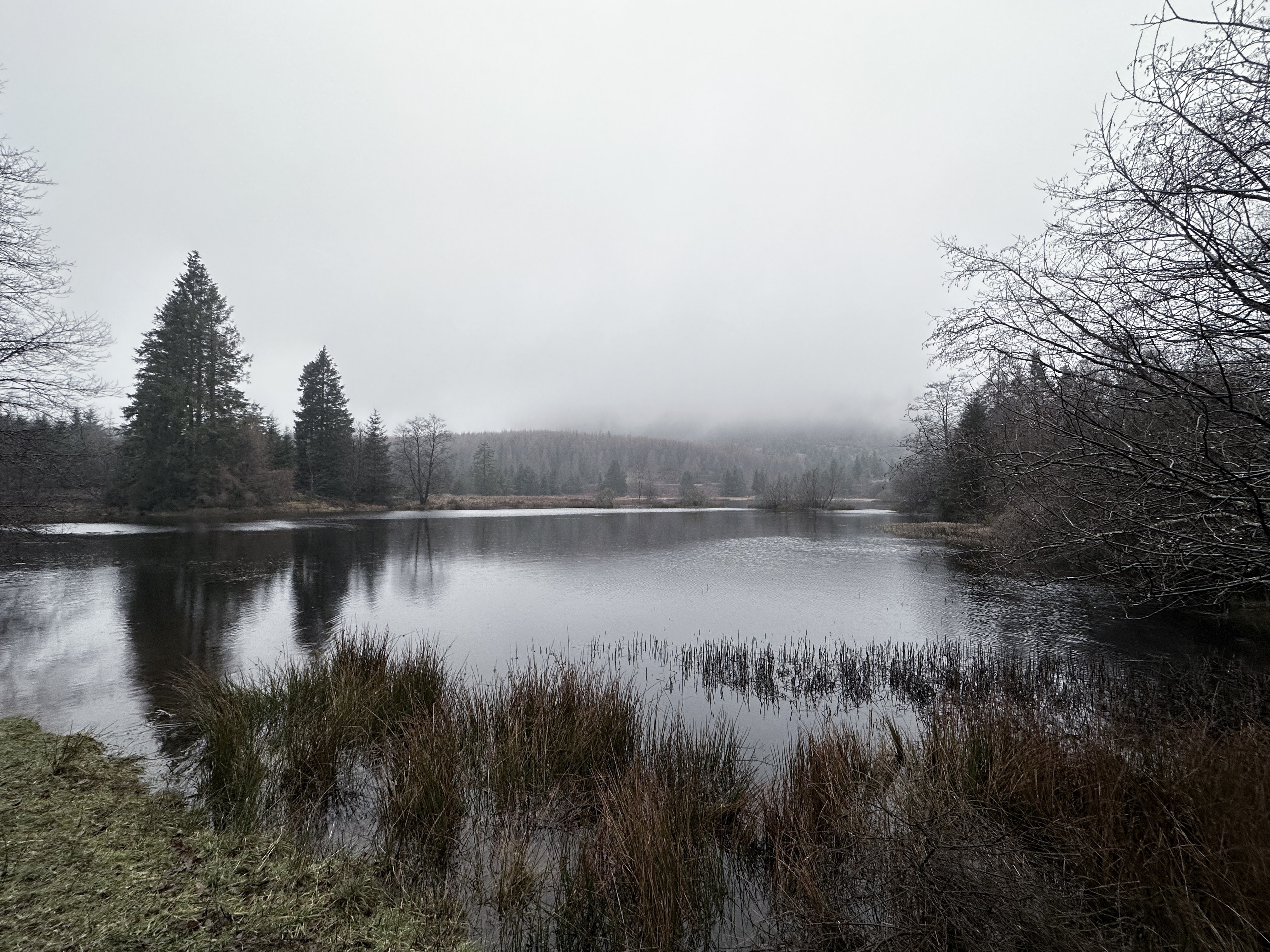 A view of the local tarn nestled up in Grizedale Forest
