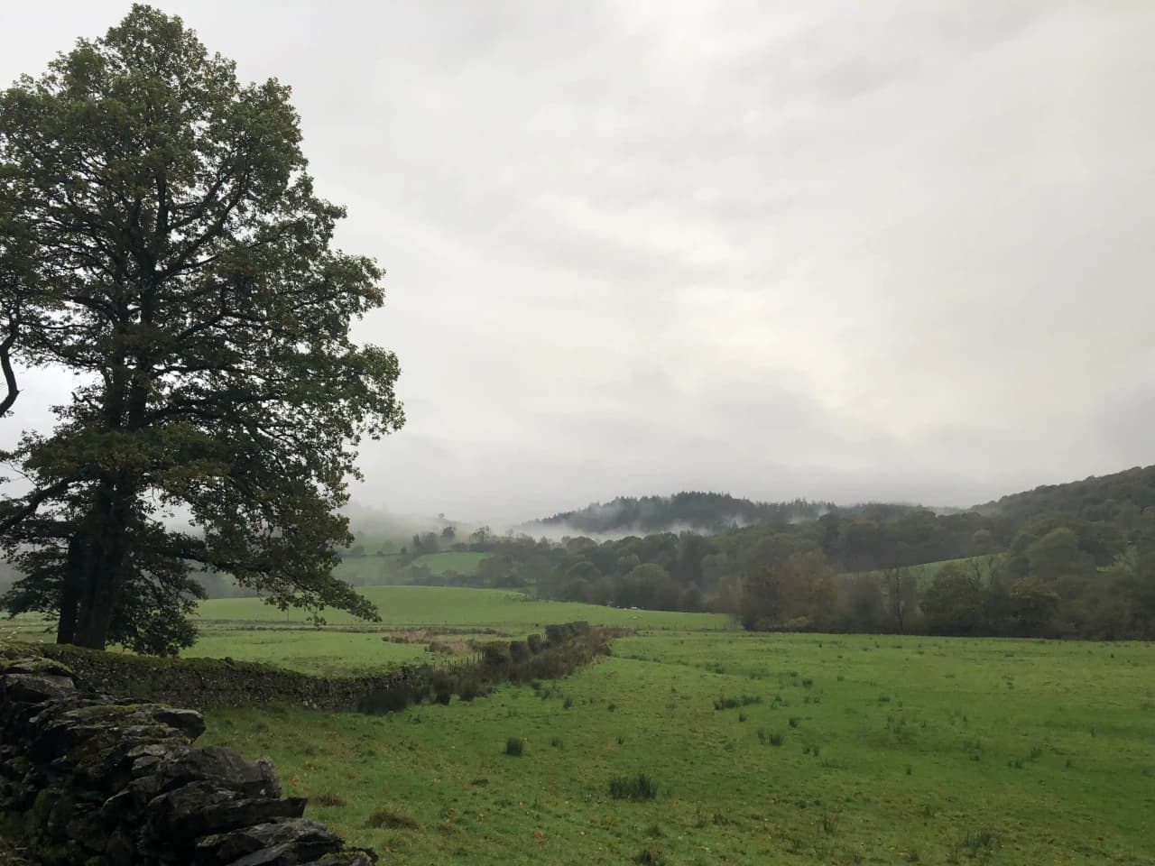 Looking out across the misty fields on that border the outskirts of Satterthwaite village